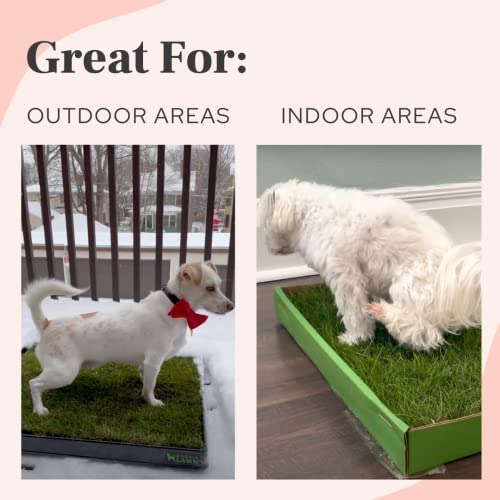 image for DoggieLawn- Potty Training Boost Spray - Potty Training Attractant Spr