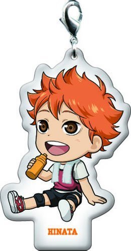 一番くじ ハイキュー!!～春の強化合宿!～　G賞 プレートチャーム　烏野　日向翔陽　単品