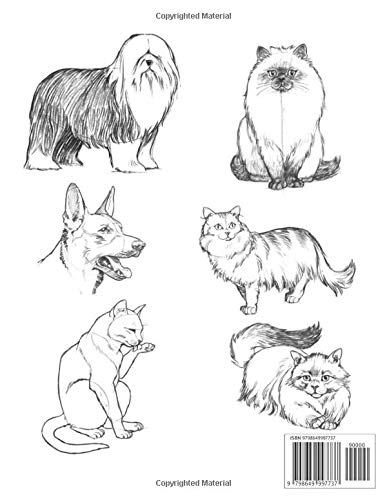 Draw Dogs and Cats Step by Step: Easy Techniques Drawings for Kids and adults : Dogs and Cats Person