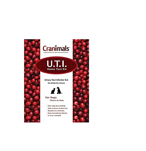 UTI Test Kit for Dogs 2 Tests