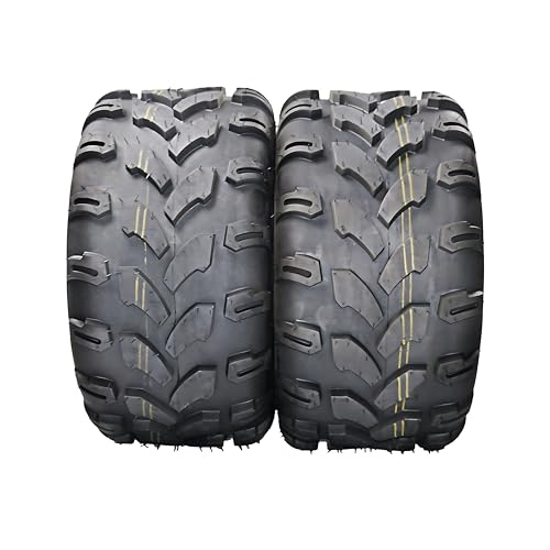 ATV Tires Quad Sport ATV UTV Tires 20X10-10 4-Ply Mud Sand Snow and Rock Tire Tubeless Knobby Sport- (QD109, 20X10-10) QD109 20X10-10