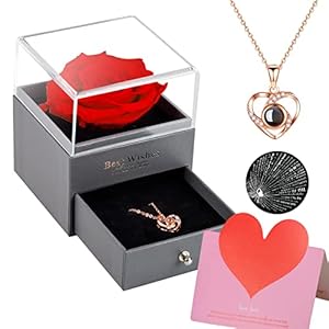 Valentines Day Preserved Red Rose with I Love You Necklace in 100 Languages, Forever Rose Gifts for Mom Girlfriend Wife…