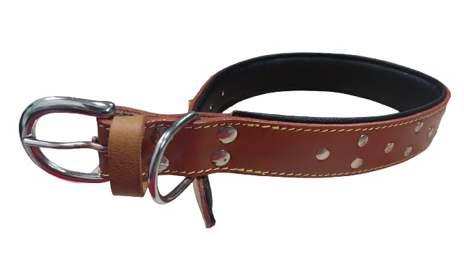 Image of Dog Collar Genuine Leather Belts Heavy Duty Padded Adjustable Small Medium Large with Studded, 49 cm x 1.25 inch, tan