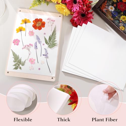 Image of Aboofx 20 Sheets Blotting Paper for Flower Press, Large 8.26 x 11.8 inch A4 Highly Absorbent and Reusable Blotter Papers for Flower Press Herbarium Craft Blotter Paper Sheets Papers Craft Supplies