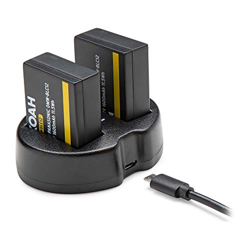 Image of Panasonic LUMIX FZ1000 II 4K 16x Long Zoom Digital Camera, Koah Roebling Bag with Accessory & Cleaning Kit, 64GB SDXC Canvas Go Plus 170MB /s Read Memory Card, Pro Shotgun Video Mic, and 2 Batteries