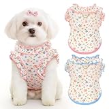 2 Pack Dog Shirt for Small Dogs Breathable Summer Clothes with Ruffled Sleeves Dog Tshirt Stretchy Pet Tee for Puppies Sphynx Cats Kitten Frenchie Dachshund(Pink&Blue,Medium)