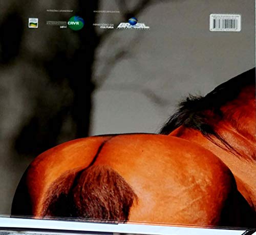 Cavalo Crioulo - Elemento Definidor da Cultura do Rio Grande do Sul