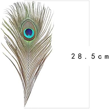 36 PCS Real Natural Peacock Eye Feathers 10-12 inch for DIY Craft, Wedding and Holiday Decorations