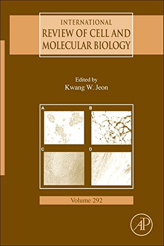 International Review of Cell and Molecular Biology (English Edition)