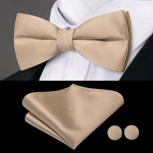 Image of Dubulle Mens Cummerbund and Bow Tie Set Paisley Floral Pretied Bowties for Men Pocket Square Cufflinks Wedding Business
