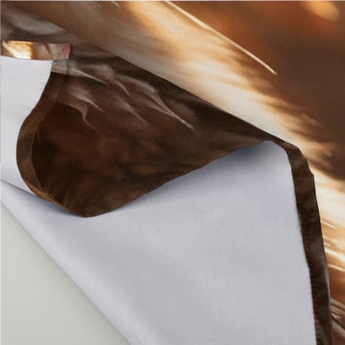 Servilletas de Tela Set de 6 50.5x50.5 cm Multicolor miniatura 3