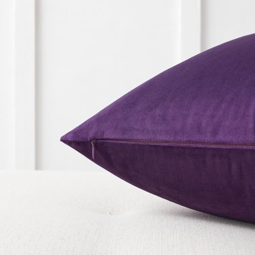 Image of Mixhug Decorative Throw Pillow Covers, Velvet Cushion Covers, Solid Throw Pillow Cases for Couch and Bed, Purple, 22 x 22 Inches, Set of 2