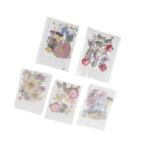 Flores prensadas MAVIS LAVEN, 5 bolsas de estilos variados miniatura 5