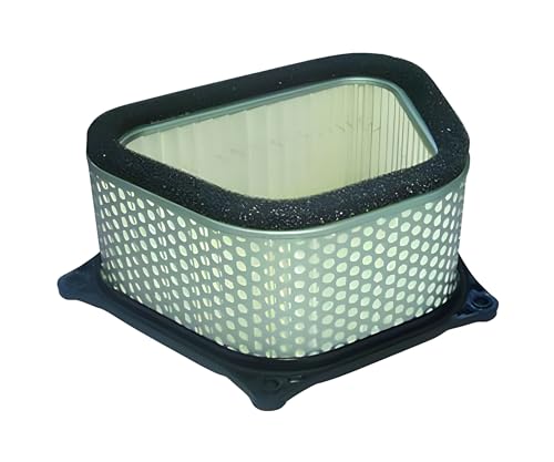 Hiflofiltro HFA3907 Premium OE Replacement Air Filter, Regular