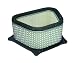 Hiflofiltro HFA3907 Premium OE Replacement Air Filter
