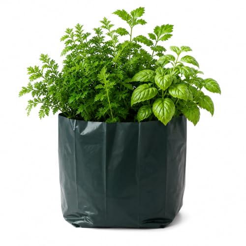 Image of Go Garden Grow Bags for Plants 8 x 10 Inch (Pack of 300) | UV Protected Plastic Nursery Grow Bags | Heavy Duty Black Poly Plant Bags with Drainage Holes for Vegetables, Flowers, Herbs & Home Gardening
