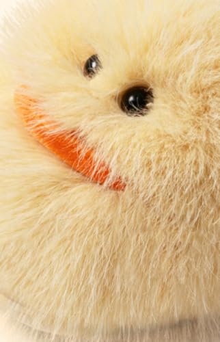 Women’s Cartoon Duck Plush Slippers Fall Winter Indoor Warm Non - Slip Thickened House Floor Slippers2