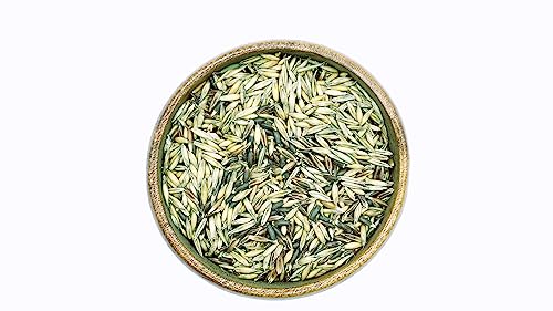 Reitgarten´s Bio Mischhafer Black & Gold - ganzes Korn 10 kg Pferd Futter Kraftfutter Hafer garantiert ohne Zusätze Organic