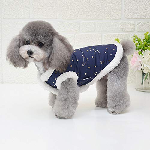 3er Set Winter Hundemäntel – Gefütterte, Warme Jacken Für Kleine Hunde, Waschbar, Rollkragen-Design