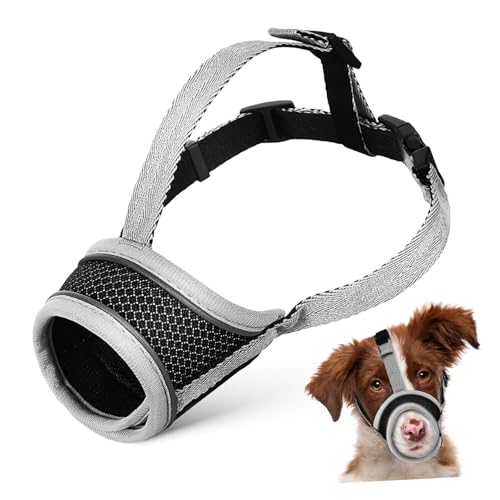 DINHEAROM \ȑ^p ϋvbVf KȒʋCt ݂h~ ʖi} g[jO U f@p}YJ