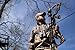 TRACT Custom Binocular Harness Binocular Accessory