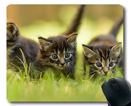 Yanteng Gaming Mouse Pad, Kitten Cat Grass Mouse Pad, Alfombrilla para computadora Cat161 Cover