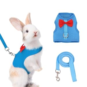 AIITLE Rabbit Harness and Leash Set with Cute Bow, Soft Breathable Mesh Vest Harness for Rabbits Kitten Ferret Puppy Small Pets Walking Supplies Blue S