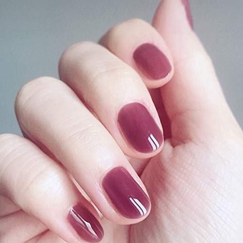Bartosi 24 PCS Pure Color Short Press on Nails Oval Artificial Fake Nails Full Cover Coffin Nail Tips Acrylic Glue on Nails Daily for Women