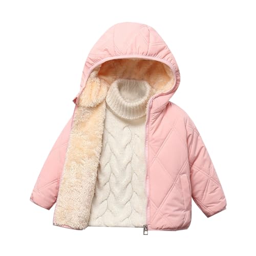 [Teevaseoan] xr[ LbY _E WPbg j̎q ̎q _ER[g q Ԃ {A R[g V[g  N {A u]  h ۉ ~ ȃR[g  t[ht H~ g 㒅 ʉ ʊw