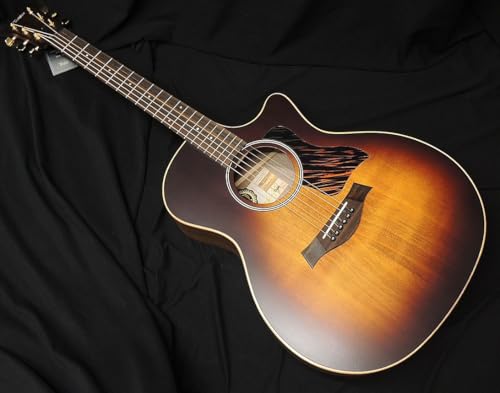 Taylor AD14ce-SB LTD eC[ OhI[fBgA GAR GNgbN AR[XeBbNM^[ 50NLOf
