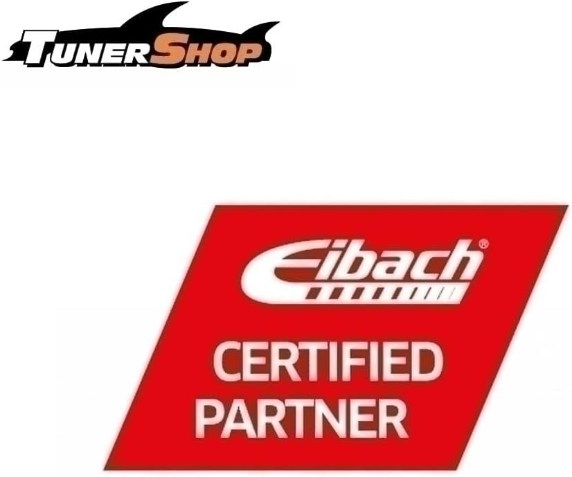 Eibach coil spring front R10019