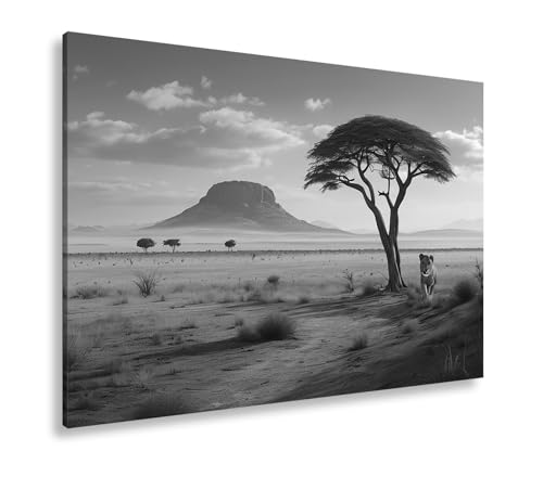 Impression sur toile Lionne et la savane silencieuse pour salon apaisant