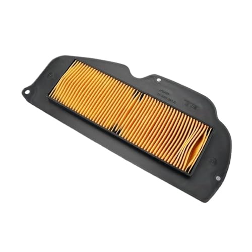 Filtre à air moto anti-encrassement pour DAYANG DY250T-A et ADV350-6