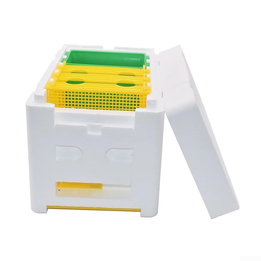 Boîte d'accouplement des abeilles, mini ruche, boîtes à abeilles avec distributeur d'eau, outil d'élevage et de récolte d'abeilles, maison naturelle