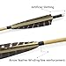 ZSHJGJR 10pcs Flecha de Madera 31 Pulgadas con 5" Flecha Pluma de...