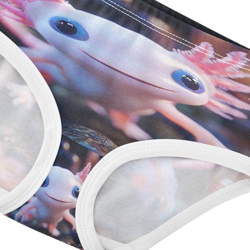 V Toddler Girls's Underwear 2T 202b88364