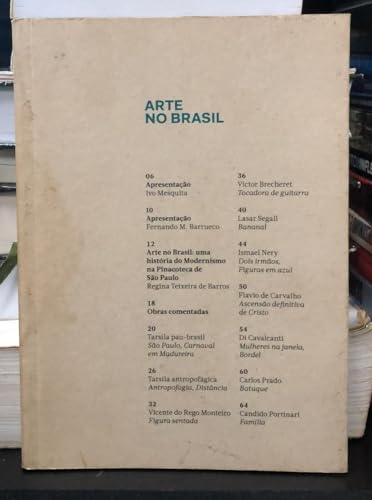 arte no brasil : uma historia do modernismo na pinacoteca de sp