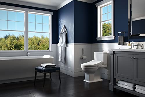 Luxury Heated Toilet Seat Bidet Combo