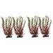 Abaodam 4 Pcs Aquarium Landscaping Plastic Fish Bowl Large Artificial Plants planta Artificial Large Fake Plants Artificial Fish Tank Desktop Fish Tank Small Fish Tank Decorations kelp