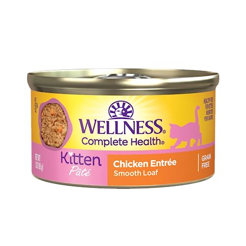 The Best Kitten Wet Food To Buy In January 2024