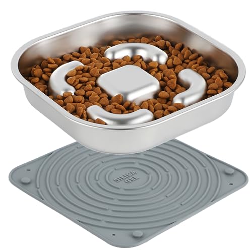 Let Your Pup Eat Safely and Slowly with these Top 10 Stainless Steel ...