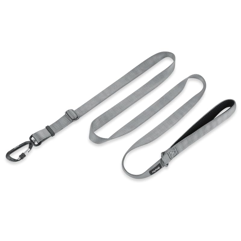 Hyhug Nylon Adjustable 4-6ft Dog Leash with Soft Neoprene Padded Handle, Durable Heavy Duty Leash with Easy-to-Use Bolt Snap, Ideal for Jogging