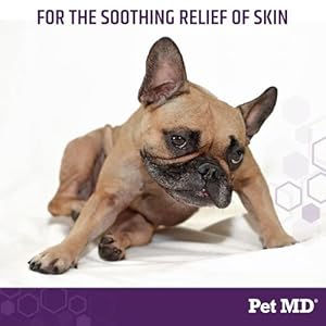 Pet MD All-in-One Derm Care - Hypochlorous Acid Spray for Dogs & All Pets - Skin Soother for Dogs & Wound Spray for Dogs - Cat Wound Care, Dog Hot Spot Remedy, & Dog Itch Relief - 4oz Pet MD All in One Derm Care Hypochlorous Acid Spray for Dogs All Pets Skin Soother for Dogs Wound Spray for Dogs Cat Wound Care Dog Hot Spot Remedy Dog Itch Relief 4oz