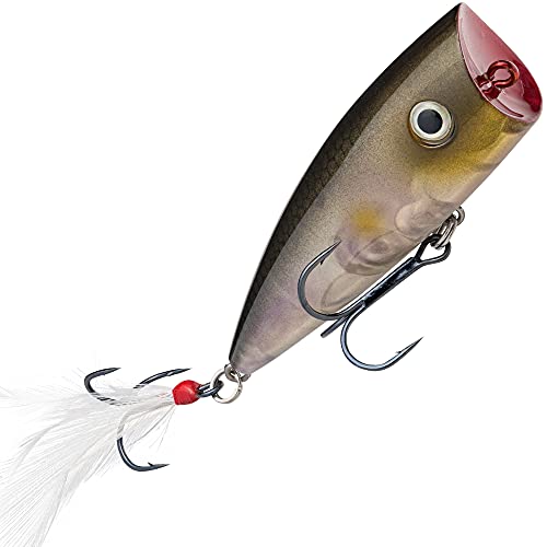 Strike King KVD Splash Topwater Popper,Clearwater Minnow
