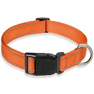 Reflective Dog Collar with Buckle Adjustable Safety Nylon Collars for Small Medium Large Dogs, Orange S