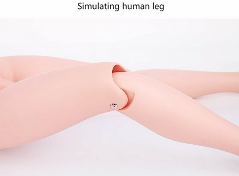 CHROX PVC-Multifunktionales Kombinations-Manikin-Modell, Patientenpflege-Simulator für Schüler, Trainingsfähigkeiten und Bildungsbedarf, Lebensgröße 170 cm