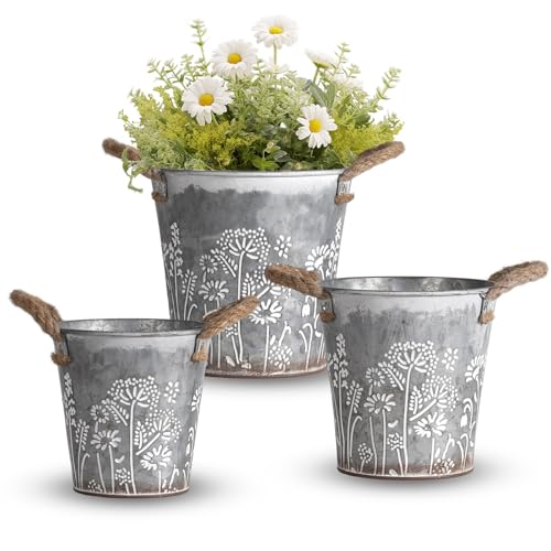 JUJOYBD 3er Set Blumentöpfe aus verzinktem Stahl, Zink Töpfen mit Seilgriffen drinnen und draußen, Dekorative kleine Blumeneimer, D 13,5/15/16,5 cm