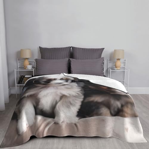 Couverture pour chiot douce en flanelle pour protéger le canapé et le lit douillet