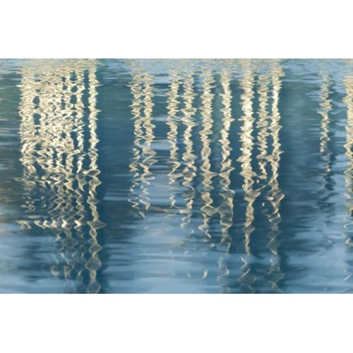ArtDirect CA, San Diego Reflection on Childrens Park pool...