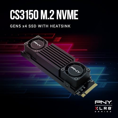 SSD Interno CS3150 1TB M.2 NVMe con dissipatore di calore nero - M280CS3150HS-1TB-RB - Hdd - Immagine 1